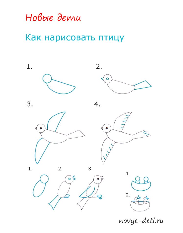 Как нарисовать птиц простым карандашом поэтапно